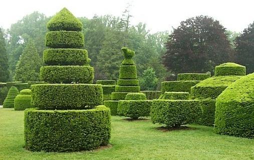 Mantenimiento de jardines Mantenimiento de jardines Madrid